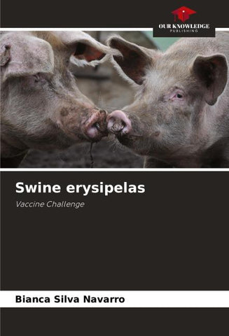 Swine erysipelas