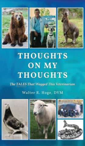 Thoughts On My Thoughts