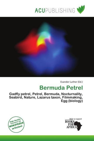 Bermuda Petrel