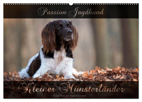 Passion Jagdhund - Kleiner Münsterländer (Wandkalender 2026 DIN A2 quer), CALVENDO Monatskalender