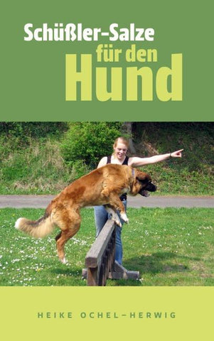 Schüßler-Salze für den Hund