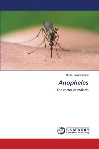 Anopheles