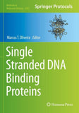 Single Stranded DNA Binding Proteins