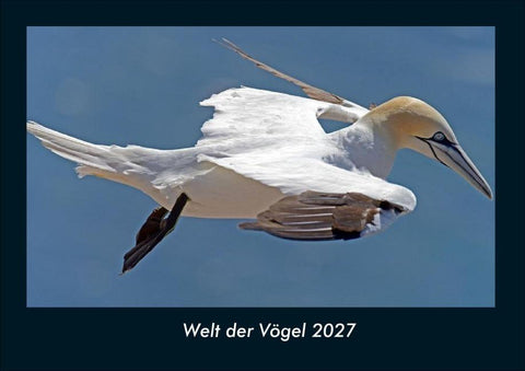 Welt der Vögel 2027 Fotokalender DIN A4