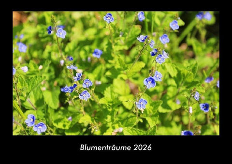 Blumenträume 2026 Fotokalender DIN A3