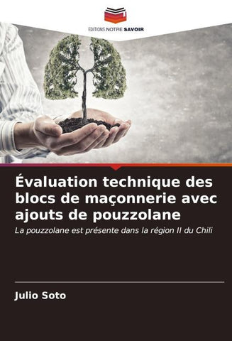 Évaluation technique des blocs de maçonnerie avec ajouts de pouzzolane