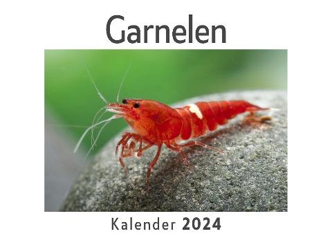 Garnelen (Wandkalender 2024, Kalender DIN A4 quer, Monatskalender im Querformat mit Kalendarium, Das perfekte Geschenk)