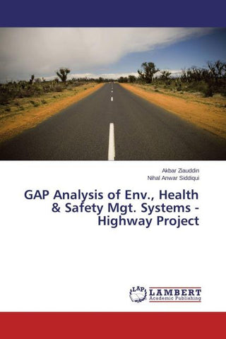 GAP Analysis of Env., Health & Safety Mgt. Systems - Highway Project