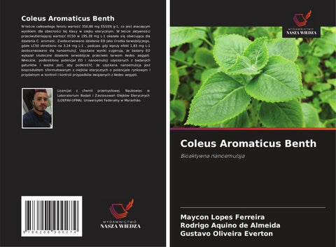 Coleus Aromaticus Benth