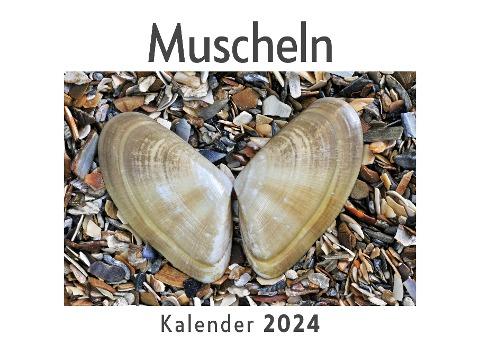 Muscheln (Wandkalender 2024, Kalender DIN A4 quer, Monatskalender im Querformat mit Kalendarium, Das perfekte Geschenk)