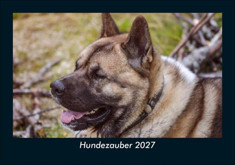 Hundezauber 2027 Fotokalender DIN A5
