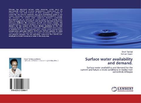 Surface water availability and demand.