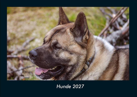Hunde 2027 Fotokalender DIN A4