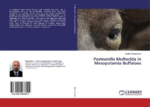 Pasteurella Multocida in Mesopotamia Buffaloes
