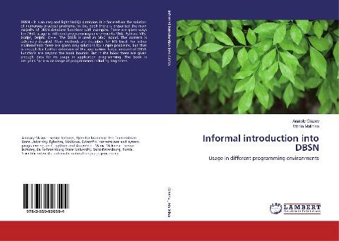 Informal introduction into DBSN