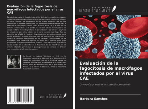 Evaluación de la fagocitosis de macrófagos infectados por el virus CAE