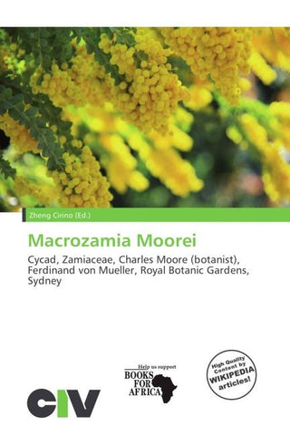 Macrozamia Moorei