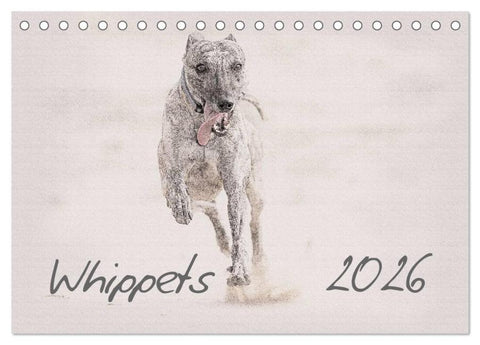 Whippet 2026 (Tischkalender 2026 DIN A5 quer), CALVENDO Monatskalender