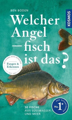 Welcher Angelfisch ist das?