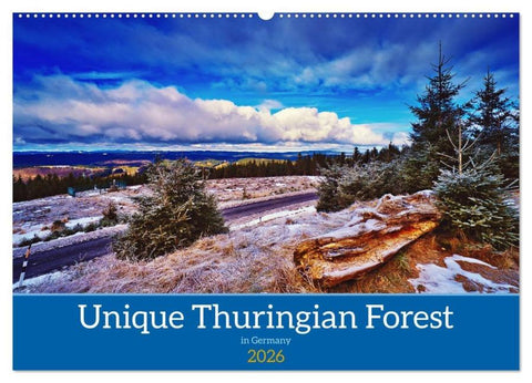 Unique Thuringian Forest (Wall Calendar 2026 DIN A2 landscape), CALVENDO 12 Month Wall Calendar