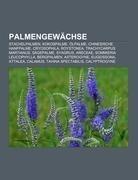 Palmengewächse