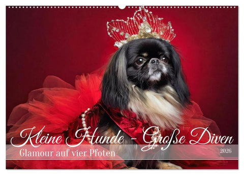 Kleine Hunde - Große Diven (Wandkalender 2026 DIN A2 quer), CALVENDO Monatskalender