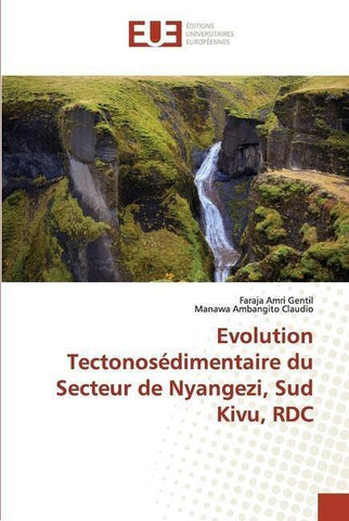 Evolution Tectonosédimentaire du Secteur de Nyangezi, Sud Kivu, RDC