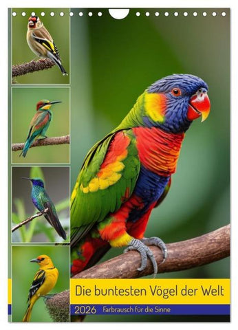 Die buntesten Vögel der Welt (Wandkalender 2026 DIN A4 hoch), CALVENDO Monatskalender