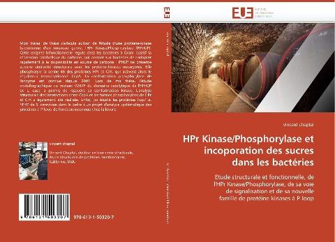 HPr Kinase/Phosphorylase et incoporation des sucres dans les bactéries