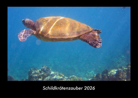 Schildkrötenzauber 2026 Fotokalender DIN A3