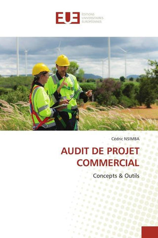 AUDIT DE PROJET COMMERCIAL