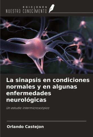 La sinapsis en condiciones normales y en algunas enfermedades neurológicas