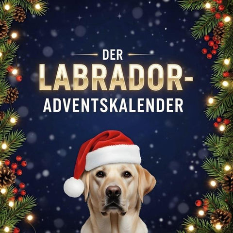 Der Labrador-Adventskalender