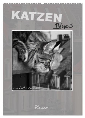 Katzen Blues / Planer (Wandkalender 2026 DIN A2 hoch), CALVENDO Monatskalender