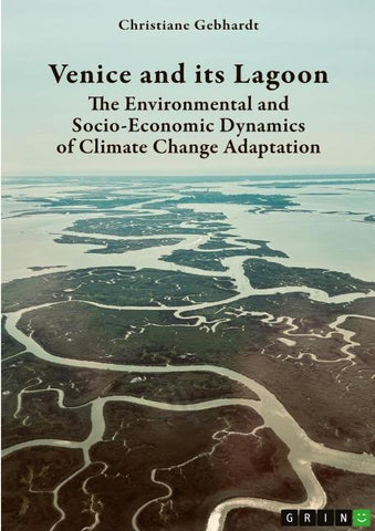 Venice and its Lagoon. The Environmental and Socio-Economic Dynamics of Climate Change Adaptation