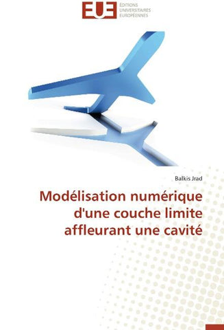 Modélisation numérique d'une couche limite affleurant une cavité