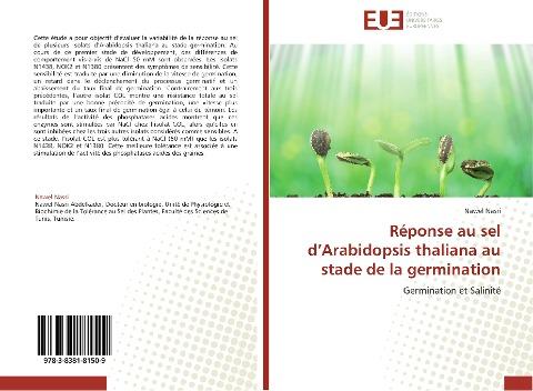 Réponse au sel d'Arabidopsis thaliana au stade de la germination
