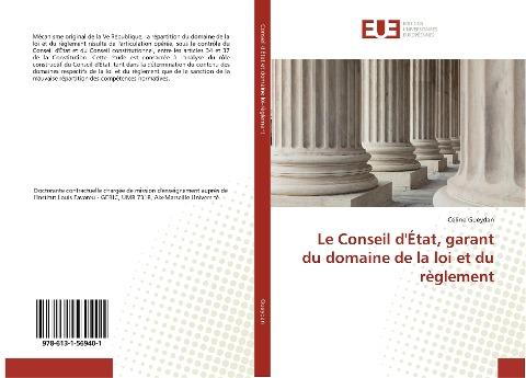 Le Conseil d'État, garant du domaine de la loi et du règlement