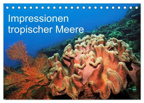 Impressionen tropischer Meere (Tischkalender 2026 DIN A5 quer), CALVENDO Monatskalender