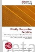 Weakly Measurable Function