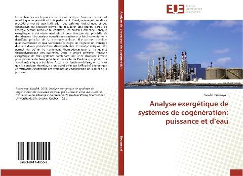 Analyse exergétique de systèmes de cogénération: puissance et d'eau