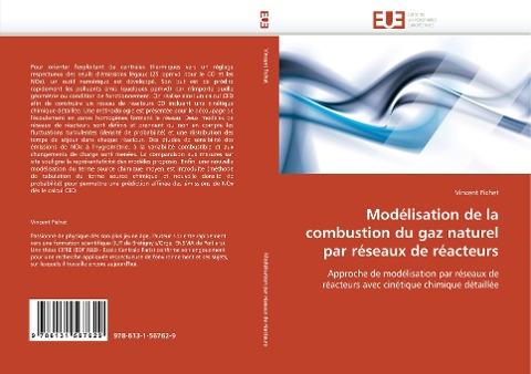 Modélisation de la combustion du gaz naturel par réseaux de réacteurs