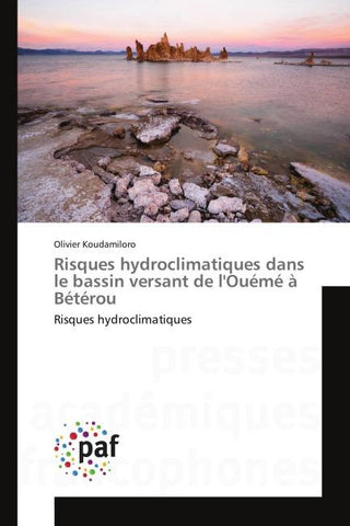Risques hydroclimatiques dans le bassin versant de l'Ouémé à Bétérou