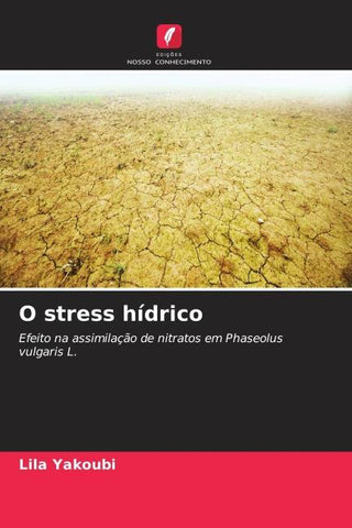 O stress hídrico