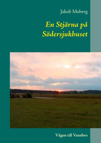En Stjärna på Södersjukhuset