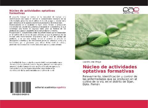 Núcleo de actividades optativas formativas