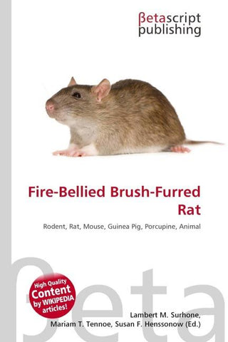 Fire-Bellied Brush-Furred Rat