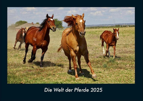 Die Welt der Pferde 2025 Fotokalender DIN A4