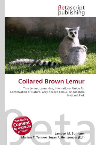 Collared Brown Lemur
