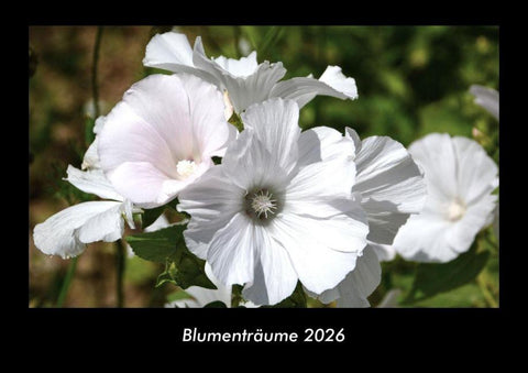 Blumenträume 2026 Fotokalender DIN A3
